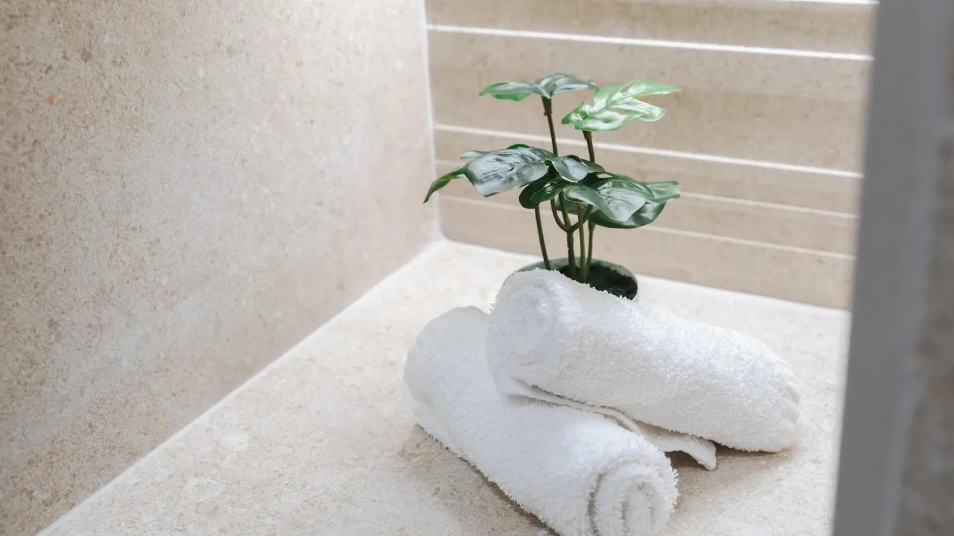 Borne Suites Ti By Mallorcasuites Palma Apartment