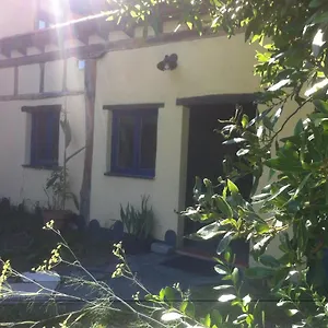 Apikale , Ea Spanien